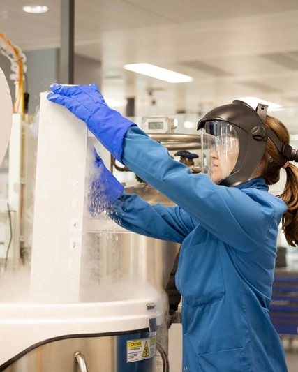 Web04 Header Stvg 2 2022 Smtlab 10 Hess